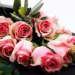 12_pink_roses_in_balck_wrapping_3_
