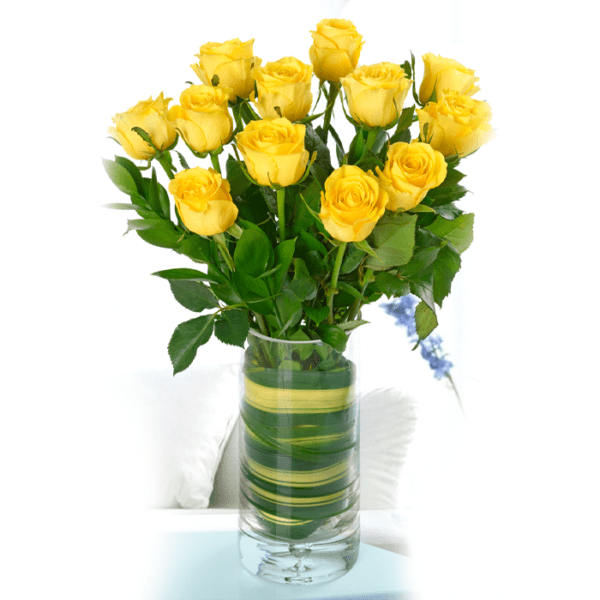 Classic dozen Yellow Roses