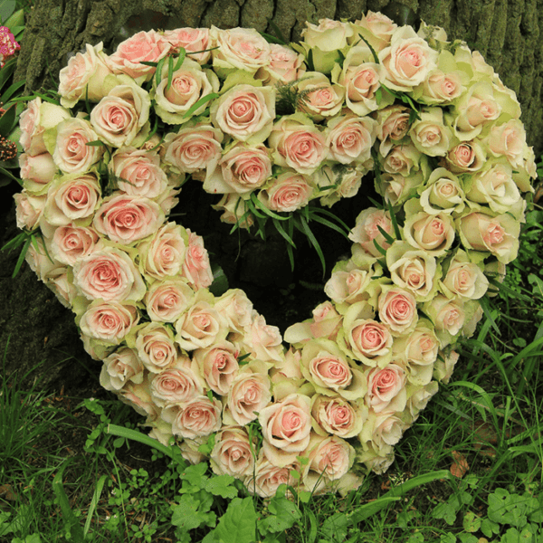 Heart Shaped Belle Roses delivery online