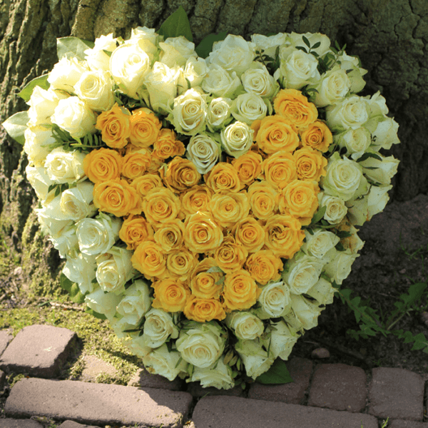 Heart Shape Yellow and White Flowers