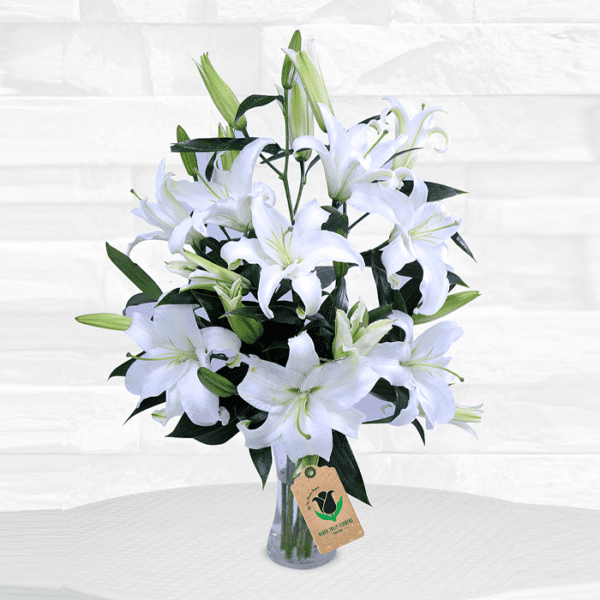 Wonderful white lily online