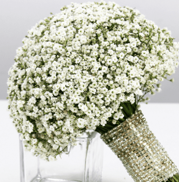 gypsophila wedding bouquet