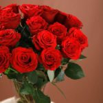 enticing_red_roses_in_vase_3_