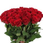 long_stem_grandeur_red_roses_2_