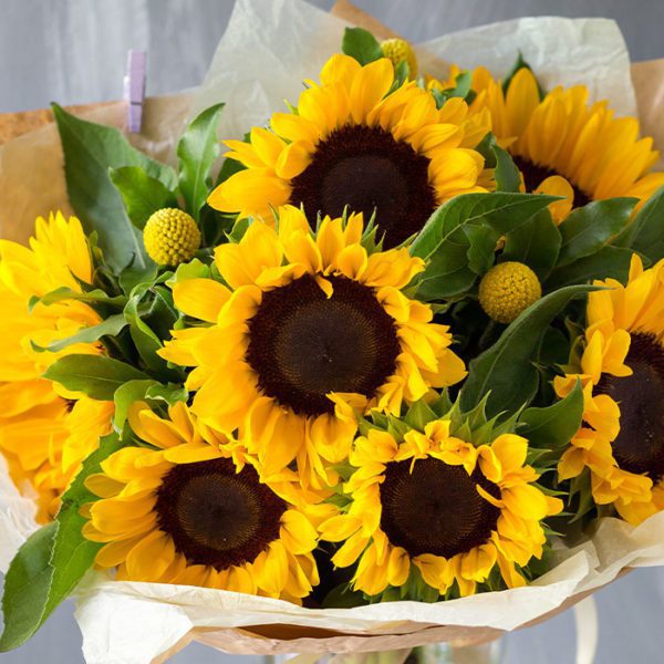 buy sunflowers near me