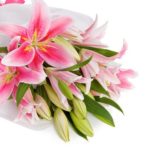 treasured_pink_lilies-1