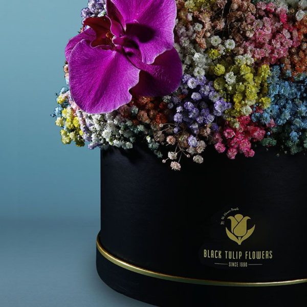 Vibrant Flower Box