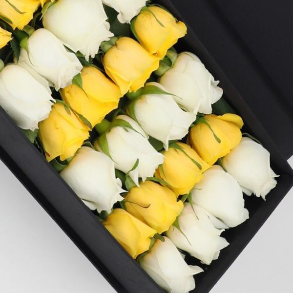 White and Yellow Roses in a Black Box