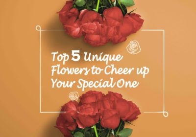 5 unique flowers online to cheer up
