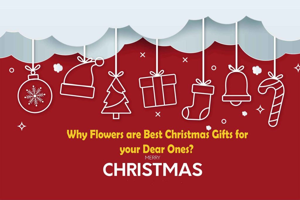 Christmas Gifts and flwoers online