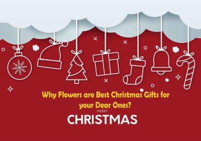 Christmas Gifts and flwoers online