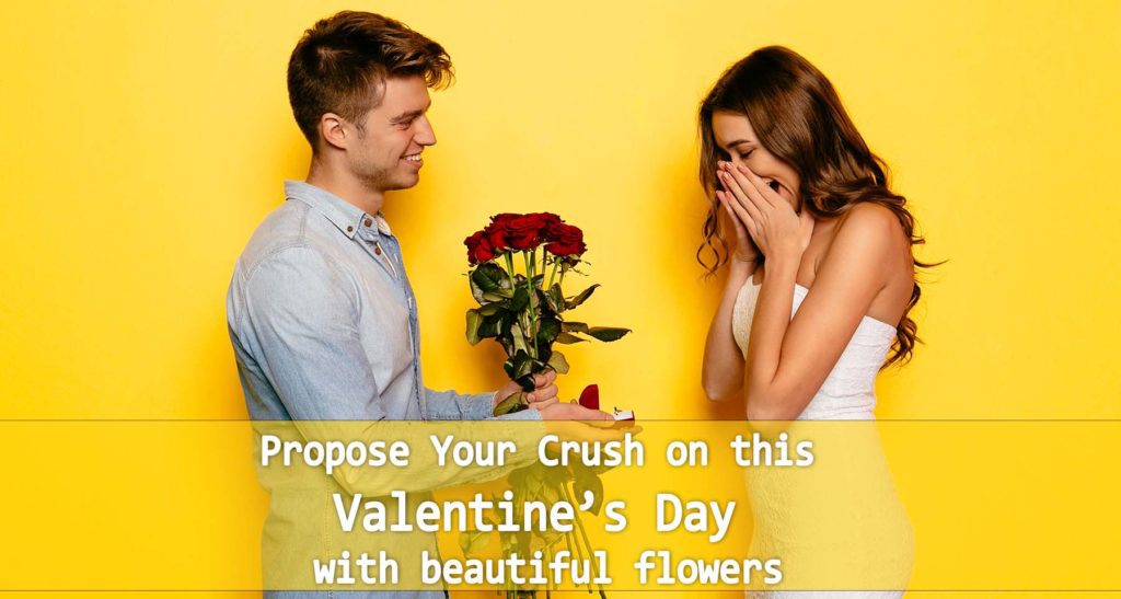 Propose your crush on this valentine's day