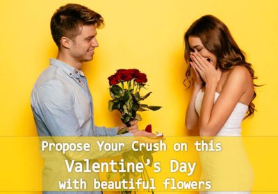 Propose your crush on this valentine's day