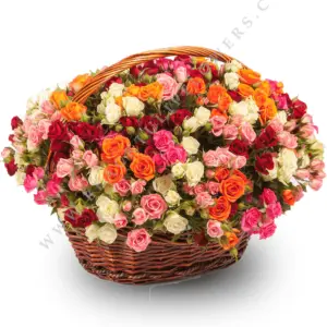 Online mix Flower Ranges & Varieties