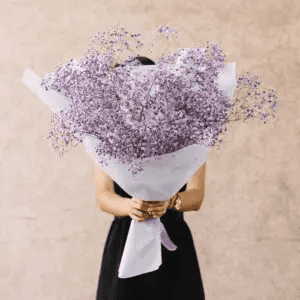 Gypsophila Bouquet for New year gifts