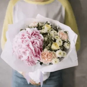 Carnation Flowers Online