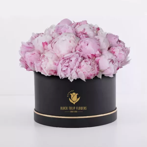 Peonies in a Box