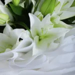 Casablanca-White-Lilies-2
