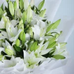 Casablanca-White-Lilies-4