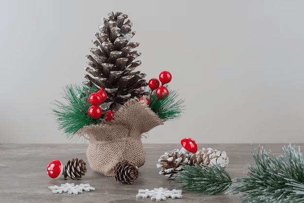 Christmas flowers and arrangements