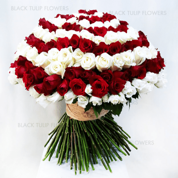 Deluxe Roses white and red
