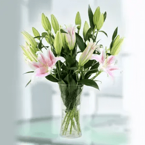 lilies in vase
