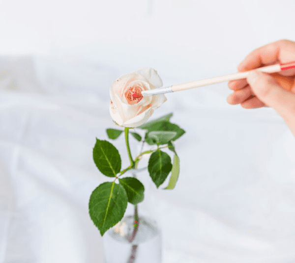 Secrets to Long - Lasting Roses: Bouquet Care Tips