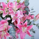 03 - Elegant Pink Lilies