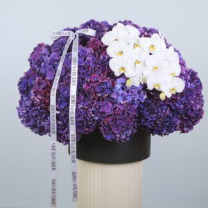 A luxurious box of purple hydrangeas and Phalaenopsis orchids to gift someone special.