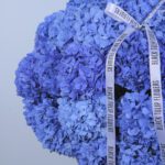 3 -  Blue Hydrangea and Orchid Extravaganza