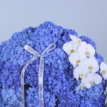 4 -  Blue Hydrangea and Orchid Extravaganza