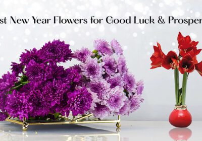 Explore the best New Year flowers for prosperity and good luck. Discover symbolic blooms, traditional floral gifts, and where to buy lucky arrangements for 2025!"