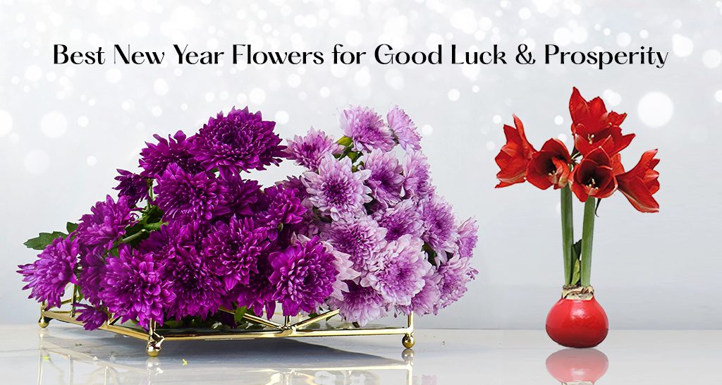 Explore the best New Year flowers for prosperity and good luck. Discover symbolic blooms, traditional floral gifts, and where to buy lucky arrangements for 2025!"