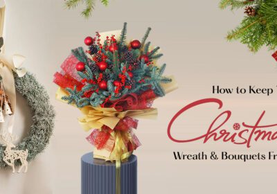 Learn how to keep your Christmas wreath & bouquets fresh. Buy beautiful flowers, wreaths, and enjoy fresh flower delivery across Oman, including Muscat