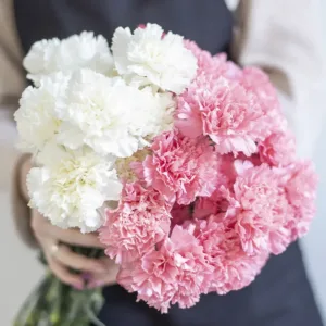 The image showcases a beautiful and elegant bouquet of carnations in shades of pink and white. The flowers are held in the hands of a person, emphasizing their delicate beauty.